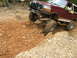 Uwharrie 008.jpg
